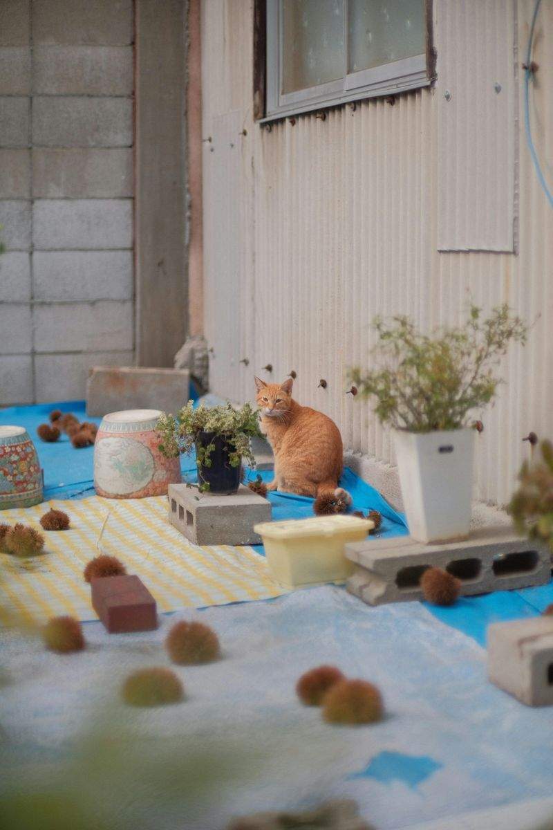 ペットケアジャパン株式会社 - Image 10